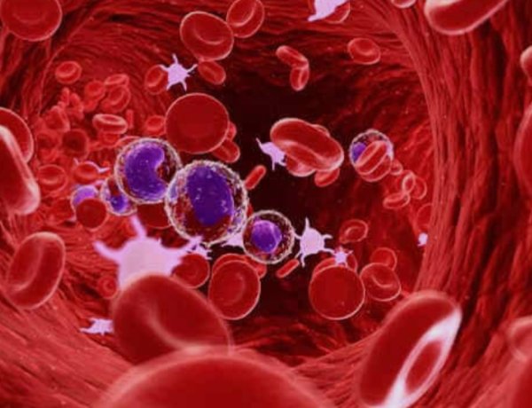 NEWS: महिला दिवस पर नीमच में स्वास्थ्य जागरूकता की अनोखी पहल,कैंसर-थैलेसीमिया के खिलाफ 8 मार्च को सड़कों पर दौड़ेगी कार रैली, पढ़े खबर