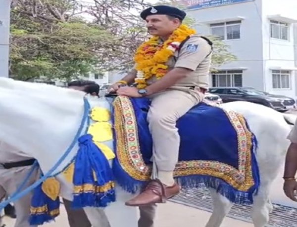 BIG NEWS: घोड़े पर सवार टीआई की 'शाही विदाई’ से दंग रह गया नीमच, फूलों की मालाओं के बीच निकली अनोखी रवानगी, देखने उमड़ा जनसैलाब, नीलेश अवस्थी का अंदाज़ बना पूरे जिले में चर्चा का विषय, पढ़े खबर