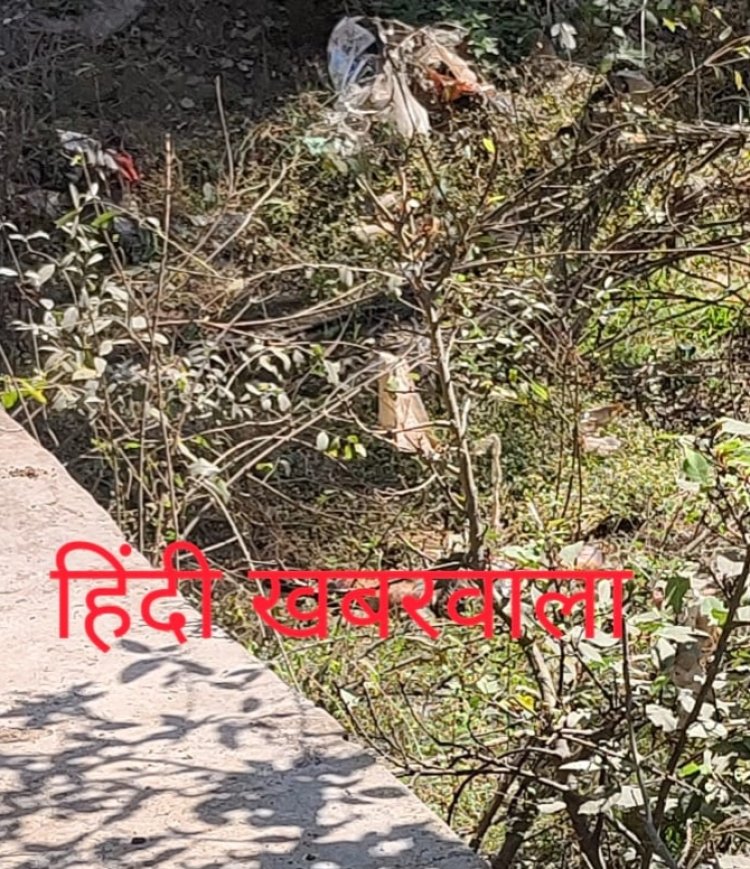 BIG BREAKING : होटल राज पैलेस के पास लेवड़ा रोड पर मिली अज्ञात व्यक्ति की लाश, इलाके में मची सनसनी, मौके पर पहुंची बघाना व कैंट पुलिस, की जांच शुरू, पढ़े पवन राव शिंदे की ये खबर 