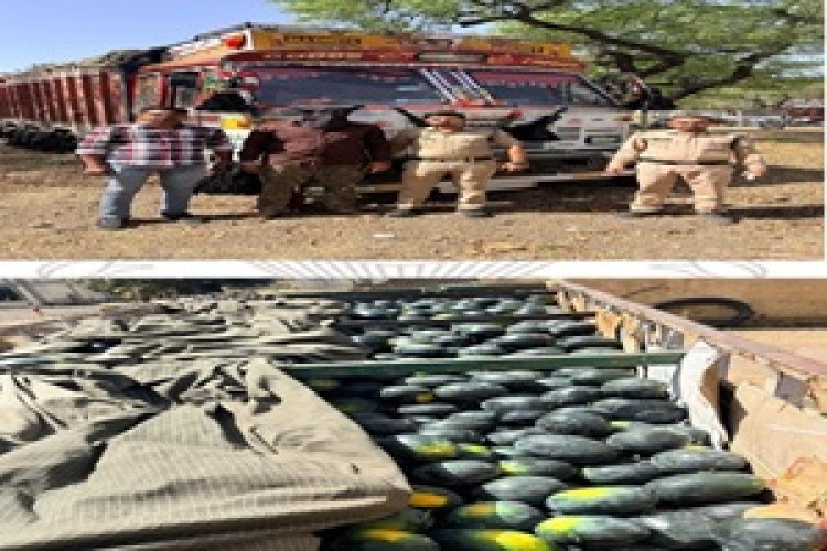 BIG NEWS: “तरबूज की आड़ में ड्रग्स का खेल!”, नारायणगढ़ पुलिस को मिली बड़ी सफलता,हाईवे पर घेराबंदी कर 85 किलो डोडाचूरा के साथ तस्कर किया गिरफ्तार,पढ़े खबर