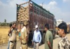 BIG NEWS: नीमच में आरटीओ का बड़ा एक्शन: गेहूं ढो रहे बिना फिटनेस-परमिट वाले ट्रकों पर गिरी गाज, वेयरहाउसों में मचा हड़कंप, पढ़े खबर
