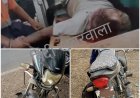 BIG NEWS : अज्ञात वाहन की बाइक की जोरदार टक्कर, पिपलिया के युवक वसीम खान की मौत ,टोल टैक्स के पास हुआ भीषण एक्सीडेंट, अस्पताल पहुंचते ही डॉक्टरों ने किया मृत घोषित,पढ़े नरेन्द्र राठौर की ये खबर