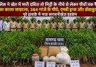 BIG NEWS: खेतों की मेड़ से रेलवे स्टेशन तक फैला था नशे का गुप्त नेटवर्क… संतरे के पेड़ों के बीच छिपाकर उगाए जा रहे थे गांजे के पौधे, दूसरी तरफ एमडी ड्रग्स और डोडाचूरा की सप्लाई, मंदसौर पुलिस की कार्रवाई ने खोली पूरे गिरोह की काली कहानी, पढ़े खबर