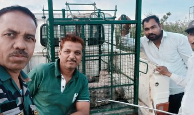 BREAKING NEWS : सुबह 5 बजे गांव दोबड़ा में दहशत का साया, घरों के बीच घुस आया 7 फीट का खतरनाक मगरमच्छ, नींद से जागे ग्रामीणों में मची अफरा-तफरी, रेस्क्यू टीम ने जान जोखिम में डालकर चलाया ऑपरेशन, काबू में आया ‘मौत का शिकारी’, पढ़े खबर