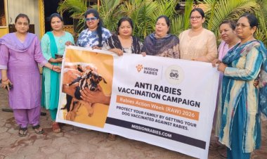 NEWS: नीमच में शुरू होगा बड़ा एंटी रेबीज अभियान! अब शहर के निराश्रित श्वानों को लगेगी मुफ्त वैक्सीन, कई संस्थाएं आईं साथ, पढ़े खबर