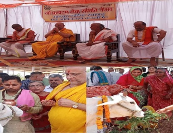 NEWS: गौ सेवा में बड़ा योगदान, साढ़े 5 लाख की लागत से बना गिरदौड़ा में विशाल टीन शेड, संतों के सानिध्य में हुआ भव्य लोकार्पण, गो प्रसादम सेवा समिति का सराहनीय कार्य, पढ़े खबर