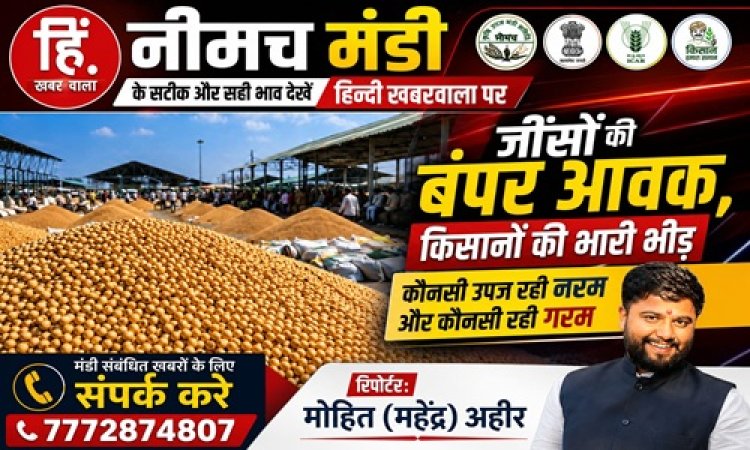 NEEMUCH MANDI: नीमच मंडी में सोयाबीन और लहसुन की बंपर आवक, आज किस जींस के भाव में आई गिरावट, और किसके भाव रहें तेज, देखें मोहित (महेंद्र) अहीर की इस रिपोर्ट में