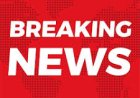 BREAKING NEWS: रेत के नीचे छिपाकर पंजाब भेजी जा रही थी करोड़ों की खेप! दिल्ली-मुंबई एक्सप्रेस-वे पर CBN का बड़ा एक्शन, 302 किलो डोडाचूरा बरामद, भारत बेंज ट्रक समेत दो तस्कर गिरफ्तार, पढ़े खबर