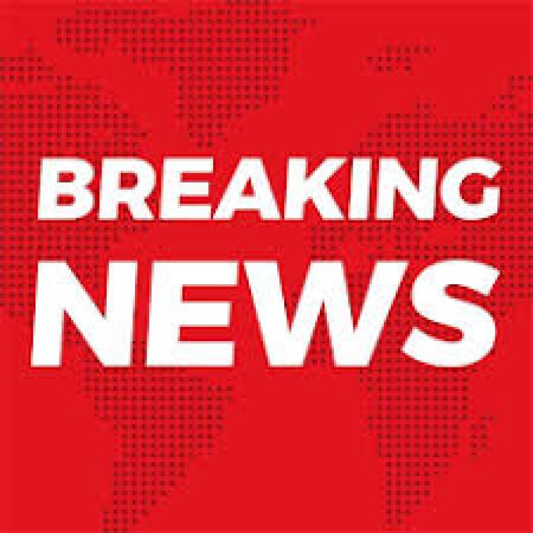 BREAKING NEWS: रेत के नीचे छिपाकर पंजाब भेजी जा रही थी करोड़ों की खेप! दिल्ली-मुंबई एक्सप्रेस-वे पर CBN का बड़ा एक्शन, 302 किलो डोडाचूरा बरामद, भारत बेंज ट्रक समेत दो तस्कर गिरफ्तार, पढ़े खबर