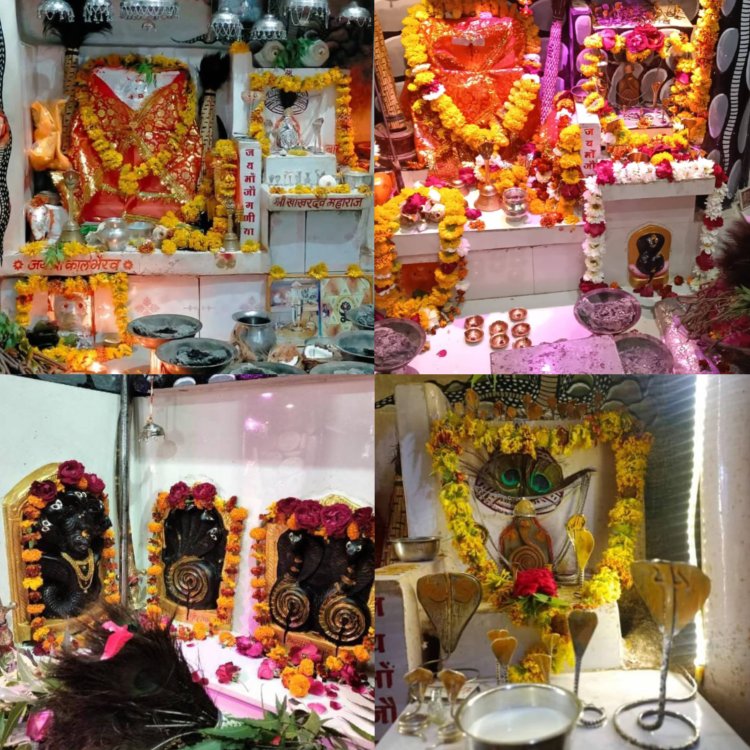 NEWS: नागपंचमी पर नीमच सिटी में गूंजेगी भक्ति की बयार,खाखर देव महाराज के नाम सजेगी विशाल भजन संध्या,बंटेगी खीर प्रसादी,पढ़े खबर