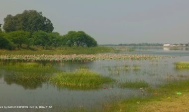 BREKAKING NEWS: जीरन तालाब पर किसानों की सिंचाई की उम्मीदों पर लगा ब्रेक, अब बूंद-बूंद पानी रहेगा नगरवासियों के नाम, कमल भी नहीं होंगे बर्बाद, पढ़े खबर